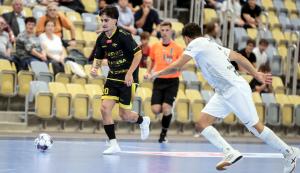 /uploads/assets/6682/DREMAN - ŚLĄSK A (362).JPG